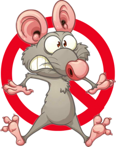 Rodents