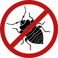 bed-bugs-after-treatment