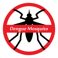 dengue