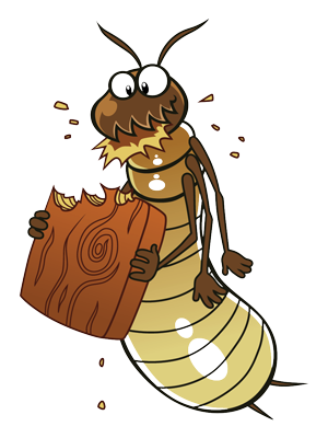 woodbore